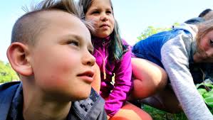 White Pine Program readies for its next phase