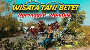We did not find results for: Terbaru 2020 Wisata Tani Betet Ngronggot Nganjuk Youtube