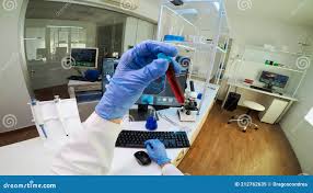 POV of Scientist Analysing Blood Sample from Test Tube Stock Image - Image  of tube, test: 212762635