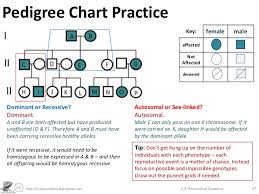 Talking about pedigree worksheet with answer key, below we will see various similar pictures to give you more ideas. Pedigree Chart Practice Problems