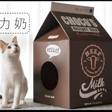 Selalu beli sangkar mahal kejap jer reput karat semua kena air. Carton Box House For Cat Rumah Kotak Kucing Diy Shopee Malaysia