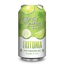 Image result for Tritonia