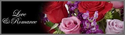 Maybe you would like to learn more about one of these? Flowers By Steve Inc Flower Delivery In Haverhill Ma