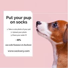 Best gift idea for valentine's day, christmas, birthday, wedding anniversary, party or any other occasions. Pin On Pawesome Dog Socks