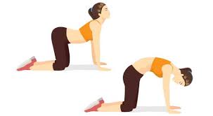 ♥ ♥ leeme / despliegame ♥ ♥ estiramientos para antes y después del ejerciciopodéis realizar estos ejercicios de estiramientos antes y después de hacer ejerci. Coronavirus Ejercicios Y Estiramientos Para Que El Teletrabajo No Te Destroce El Cuerpo Verne El Pais