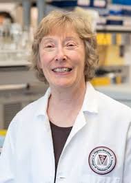 Comparative, Translational, and Veterinary Research