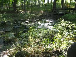 At all our state parks, fish and wildlife areas and recreational areas, we ask anglers to recreate responsibly by practicing social distancing and keeping at least six feet of distance between themselves and other anglers; Silver Springs State Fish And Wildlife Area Wikipedia