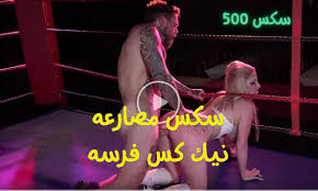 سكس مصارعه ونيك ساخن فى الحلبه مع المصارعة الحره - سكس نيكة