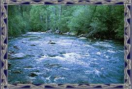 Maybe you would like to learn more about one of these? Pecos River Cabin