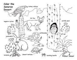 Animals are all different and need different habitats to survive. Desert Animals Coloring Page Desert Animals And Plants Desert Animals Coloring Desert Animals