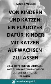 pin auf katze und mensch