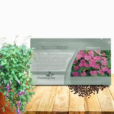 Image result for Asarina