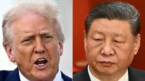 Allora breeder makes Royal Sydney Show