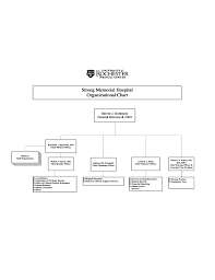 strong memorial hospital organizational chart free download