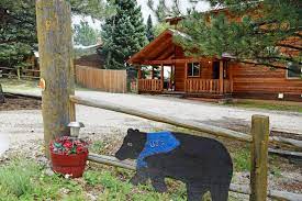 Mountain biking enjoy 70 miles of fun single track and mountain bike flow trails for beginners and experts alike! Deer Mountain Lodge Red River Nm Booking Com