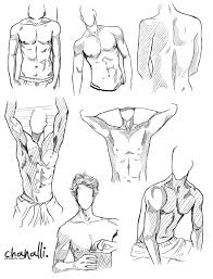 Deviantart is the world's largest online social community for artists and art enthusiasts, allowing people to connect through the creation and. Male Anatomy 01 By Alli Kun Deviantart Com On Deviantart Art Drawings Art Sketches Concept Art Characters