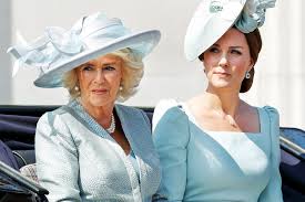 She has a number of patronages and supports a variety of charities, ranging from the. Kate Middleton And Camilla Team Up For An Emotional Joint Call Vanity Fair