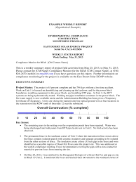 • td report/metropolitan outlook information. 8 Weekly Status Report Examples Pdf Examples