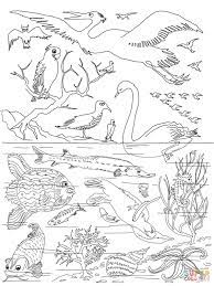 13,000+ vectors, stock photos & psd files. Creation Story Coloring Pages Free Coloring Pages Coloring Home