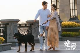 陳偉霆william chan 寵愛adoring電影官方劇照 film movie adorable my only love