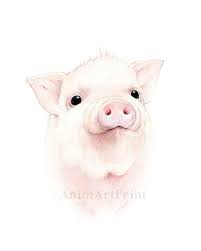 Pig Drawing Pig Decor Watercolor Pig Painting Pig Illustration Print Pig Art Pig Painting Pig Illustration