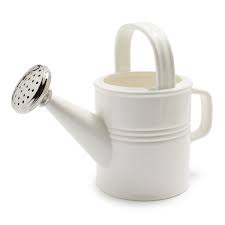 Two S Company Ceramic Watering Can 6 5 Sur La Table In 2020 Watering Can Cookware Sale Small Watering Can
