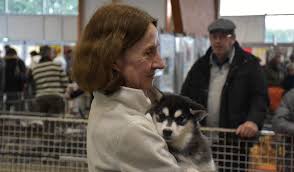 Jack Russell Bulldogs Francais Bergers Australiens Une Trentaine De Races A Decouvrir Au Salon Du Chiot A Chartrexpo Chartres 28000