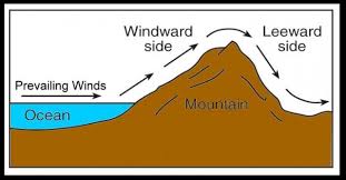 Image result for leeward side in desert