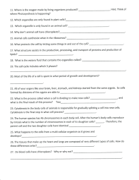 Cell Organelles Worksheet Middle School Cell Activities Middle School Meiosis Ii Definition Stages In 2020 Science Worksheets 7th Grade Science Cells Worksheet