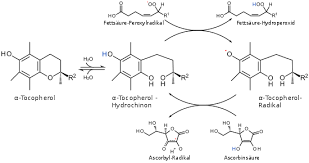 People with certain diseases may need extra vitamin e. Tocopherol Wikipedia