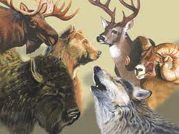 Moose is the largest extant species of the deer family in the world and known to wade into water to eat aquatic plants. What Is Your Native American Spirit Animal