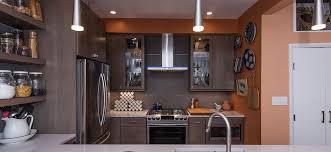 It looks neat and so minimalist except for the pop of colors from the fruit display. Modern Condo Kitchen In Washington Dc With Stainless Steel Appliances And Omega Cabinetry Bray Scarff Appliance Kitchen Specialists Bray Scarff Appliance Kitchen Specialists