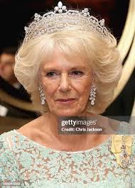 959 Chris Colombo Stock Photos, High-Res Pictures, and Images