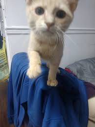 ID please Found this guy