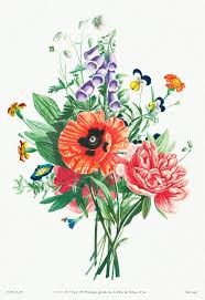 Pin On Flower Vectors