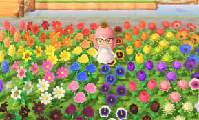 New horizons, gardening is both an art form and a science.you can buy regular flower seeds and plant them around your island to make it pretty, but if you really want to take. How To Grow Hybrids In Animal Crossing New Horizons Mypotatogames