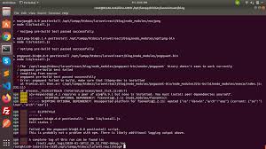 Can T Run Npm Install In Laravel Project How To Fix It Stack Overflow
