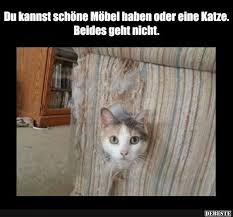 Besten Bilder Videos Und Spruche Und Es Kommen Taglich Neue Lustige Facebook Bilder Auf Debeste De Hier Werd Katzen Witze Katze Lustig Katzen Lustige Spruche