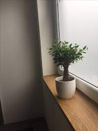 gross eichenfensterbank of seat window bank bank eiche eichen eiche eichen eichenfensterbank windo oak window sill window sill decor oak windows