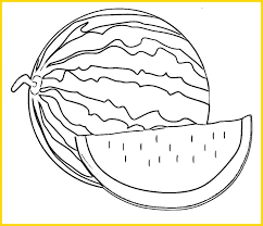 2 buah pohon kelapa di. 100 Sketsa Buah Buahan Terbaik Paling Mudah Digambar Sindunesia