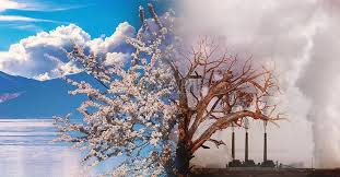 Environmental Pollution Kurong Trees Environmental Pollution Comparison Chemical Plant Sewage Dischar Environmental Pollution Template Design Web App Design