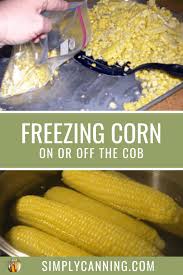 Maybe you would like to learn more about one of these? How To Freeze Corn Easy Guide For Freezing Corn On Or Off The Cob