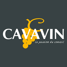Cavavin