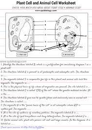 Maybe you would like to learn more about one of these? Plant Cell And Animal Cell Diagram Worksheet Animal Cells Worksheet Cells Worksheet Plant And Animal Cells