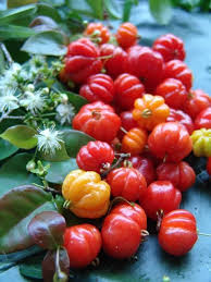 Surinam Cherry Aka Brasilian Cherry With The Flower Blossom Pictured At Left Caribfruits Cerise De Cayenne Frui Fruits Tropicaux Fruits Exotiques Fruits