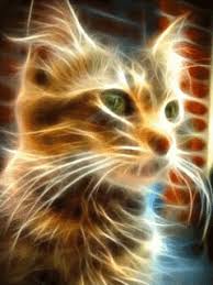 Https Encrypted Tbn0 Gstatic Com Images Q Tbn 3aand9gct95fupc3w5xkhfxlfriaomb J2gojvohx3xg Usqp Cau