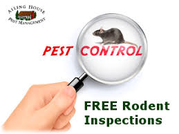 We have over 17 years of experience in the pest control industry. Rodent Control Rat Mice Exterminator Carmel Carmel Valley Carmel Highlands Ca Ailing House Pest Management Inc