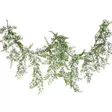 Image result for Smilax