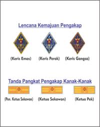 Untuk lulus lencana keahlian seseorang perlu. Lencana Kemajuan Pangkat Pengakap Kanak Kanak Woven Tung E