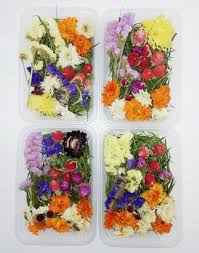 Decorators and home designers can make good use of these. 1 Box 30g Dried Flower Real Dry Plants Pressed Flowers For Aromatherapy Candle Making Craft Diy Accessories Artificial Dried Flowers Aliexpress